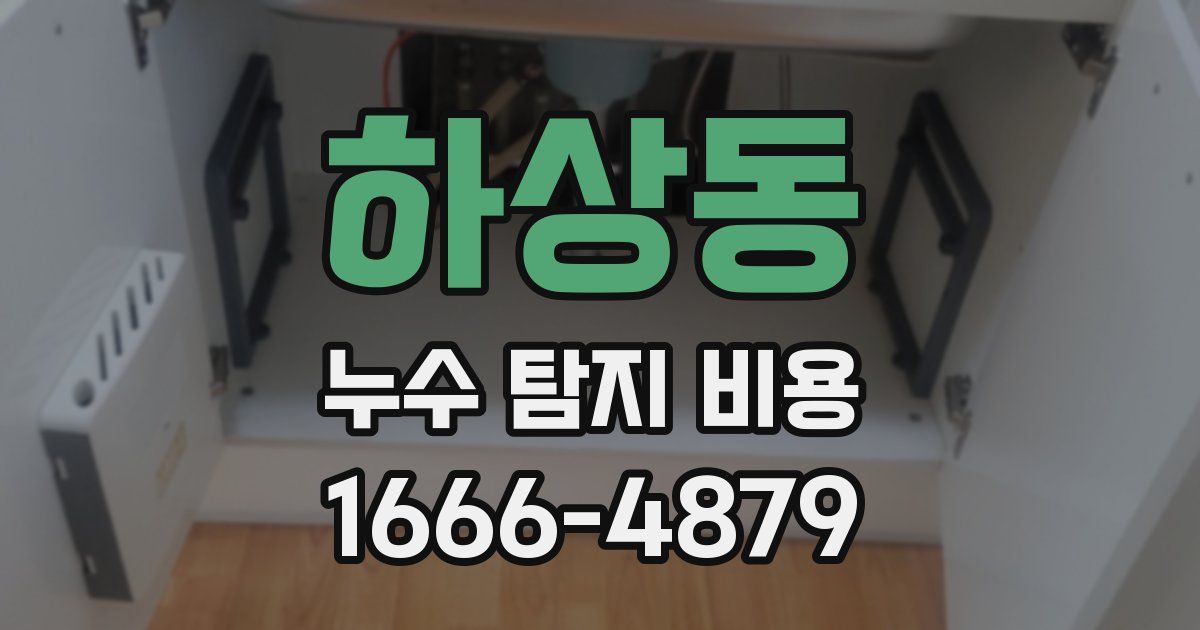 하상동 누수 탐지 비용