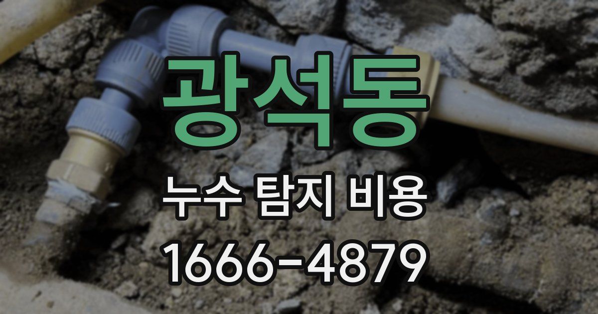 광석동 누수 탐지 비용