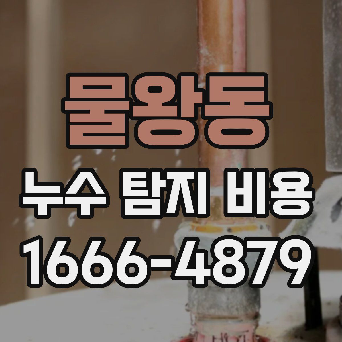 물왕동 누수 탐지 비용