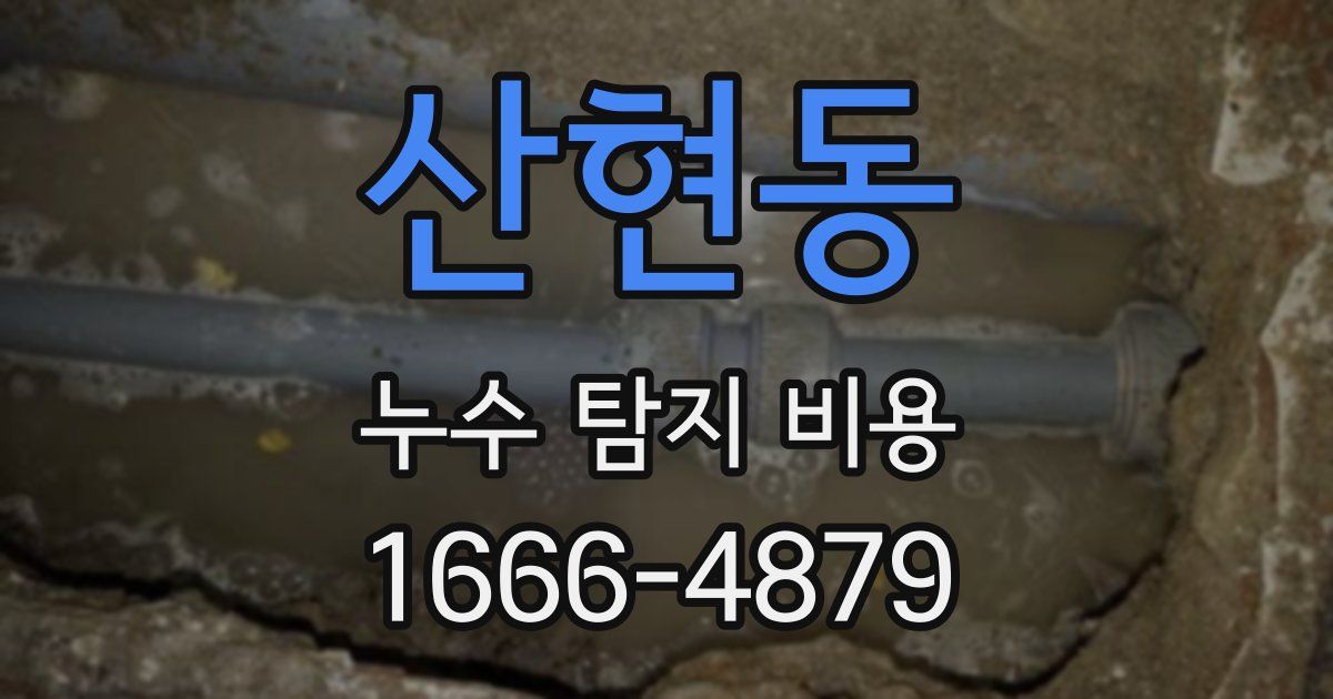 산현동 누수 탐지 비용