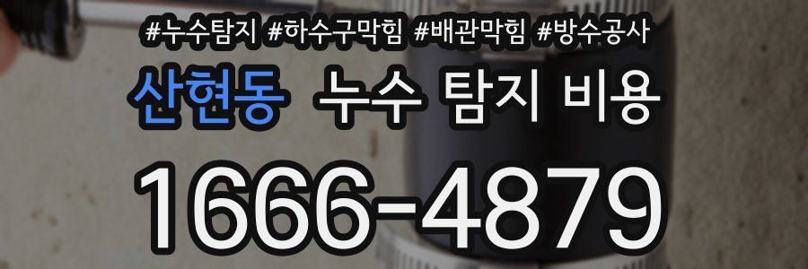 산현동 누수 탐지 비용