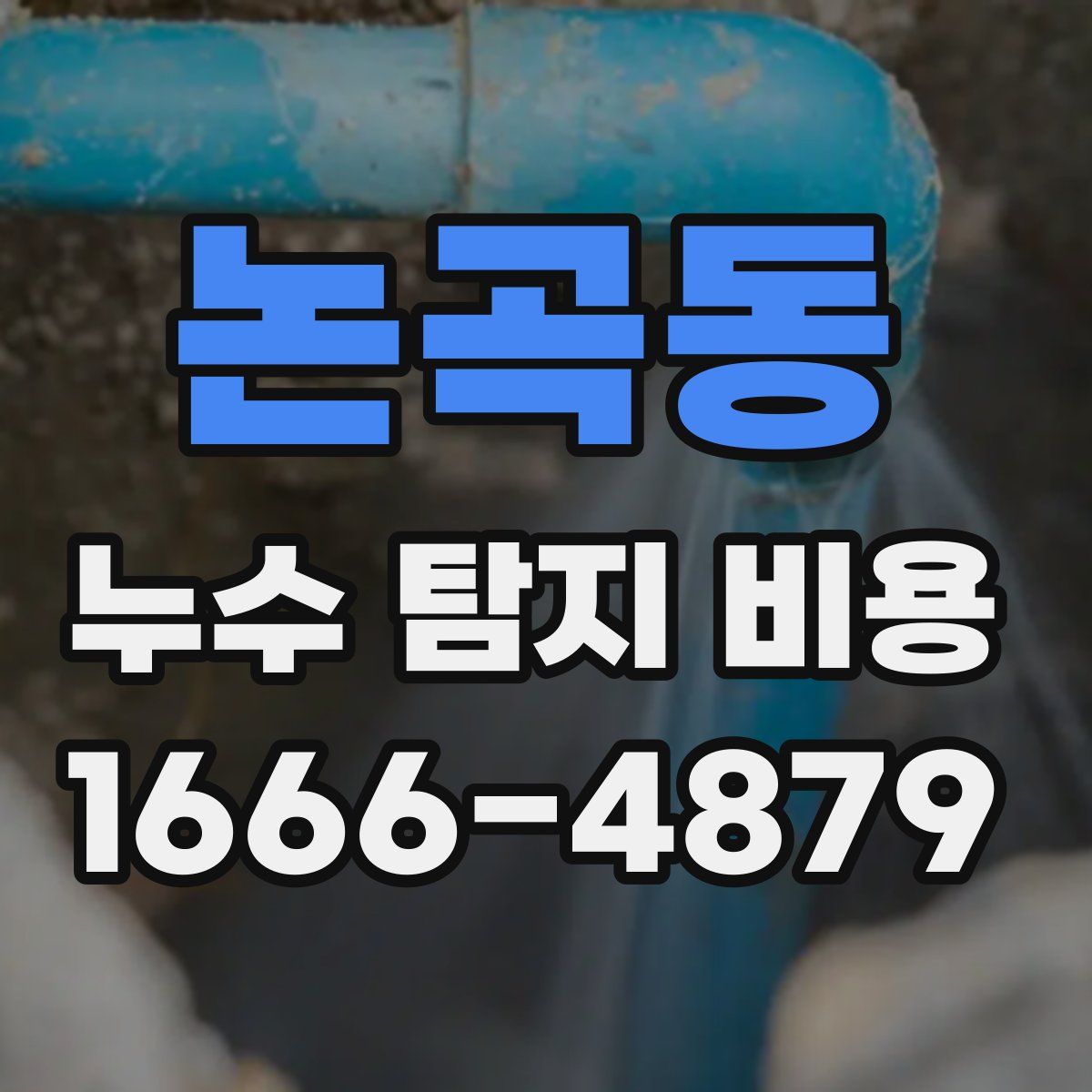 논곡동 누수 탐지 비용