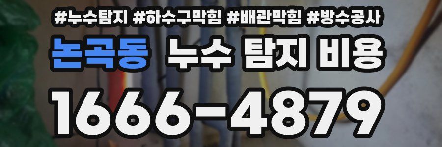논곡동 누수 탐지 비용