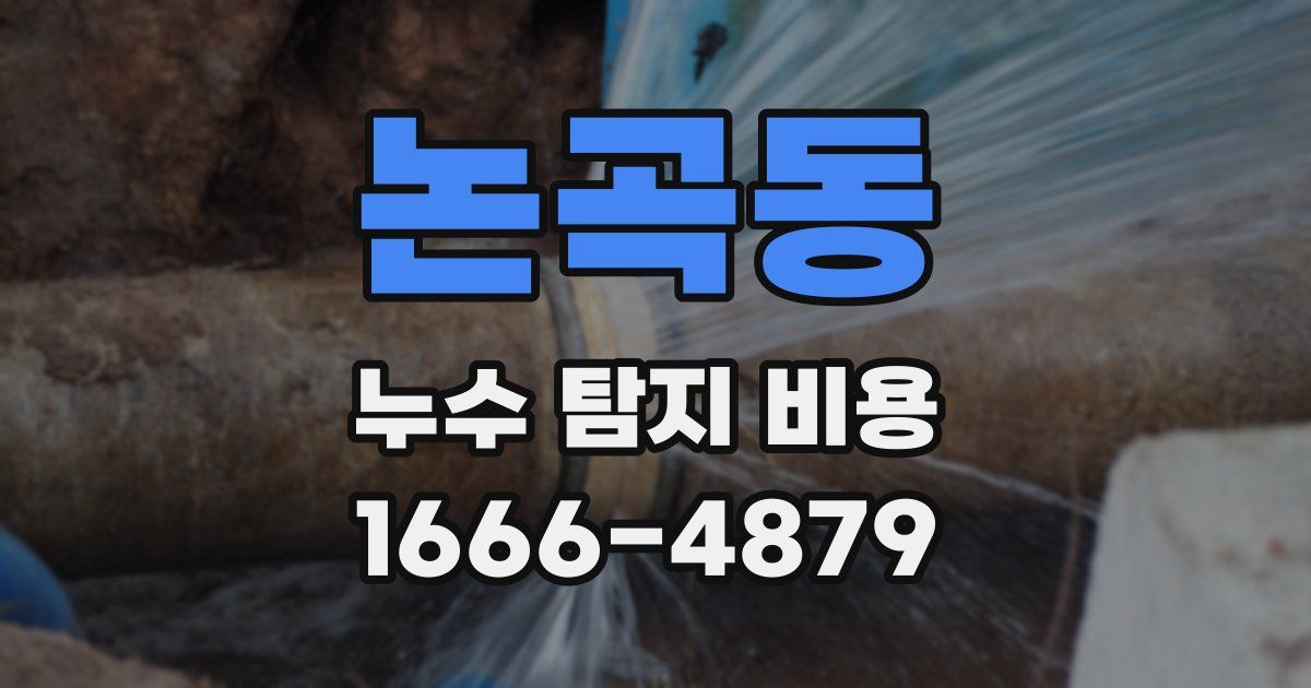 논곡동 누수 탐지 비용