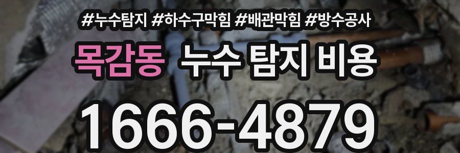 목감동 누수 탐지 비용