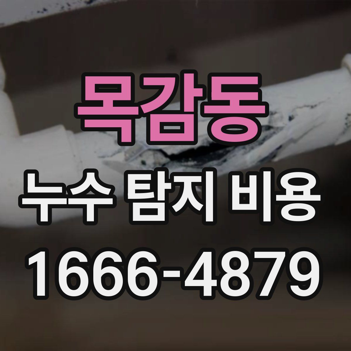 목감동 누수 탐지 비용