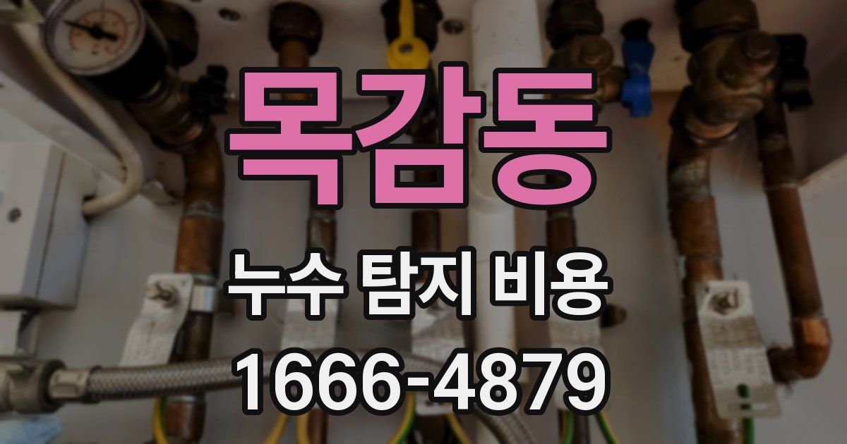 목감동 누수 탐지 비용