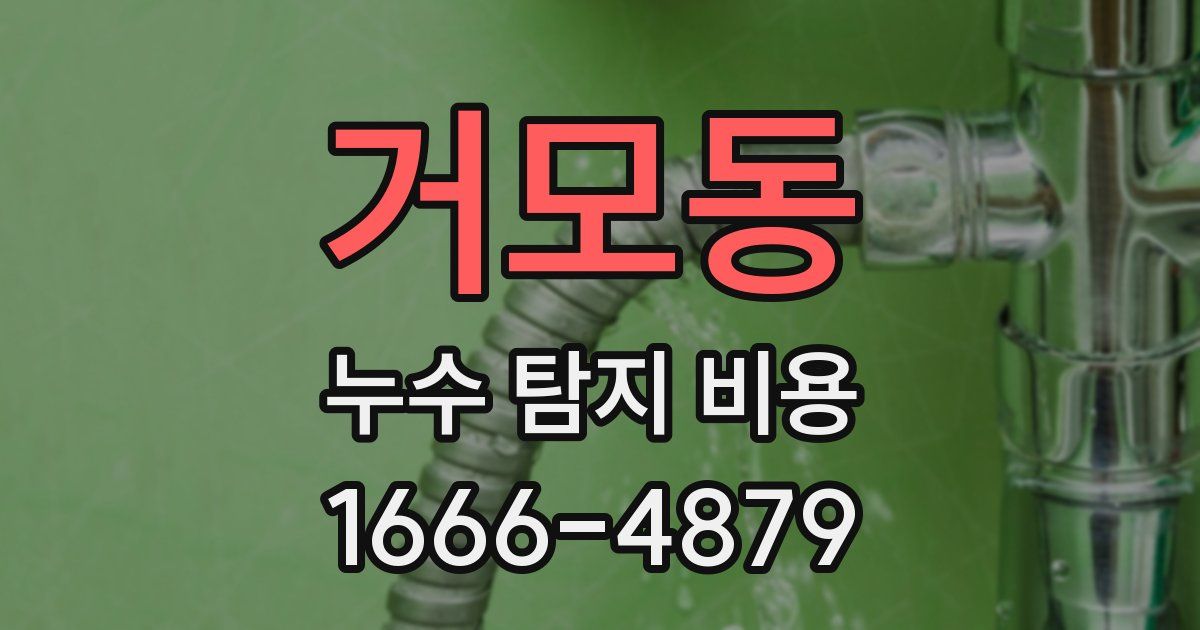 거모동 누수 탐지 비용