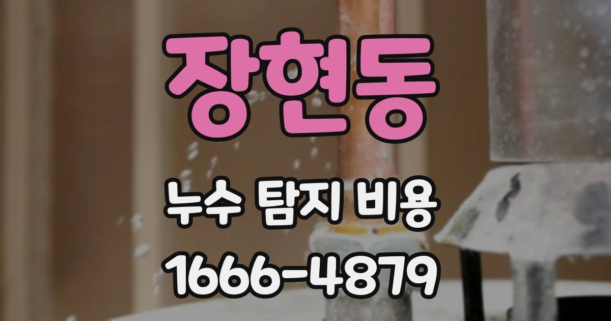 장현동 누수 탐지 비용