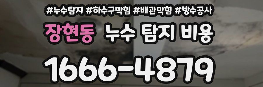 장현동 누수 탐지 비용
