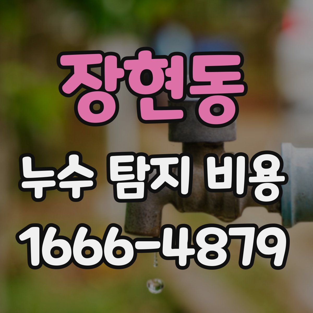 장현동 누수 탐지 비용