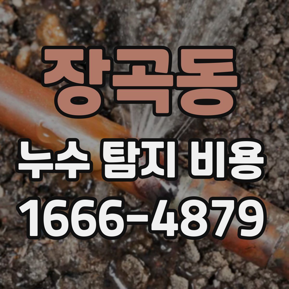 장곡동 누수 탐지 비용