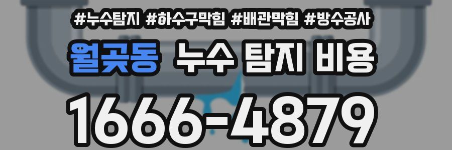 월곶동 누수 탐지 비용