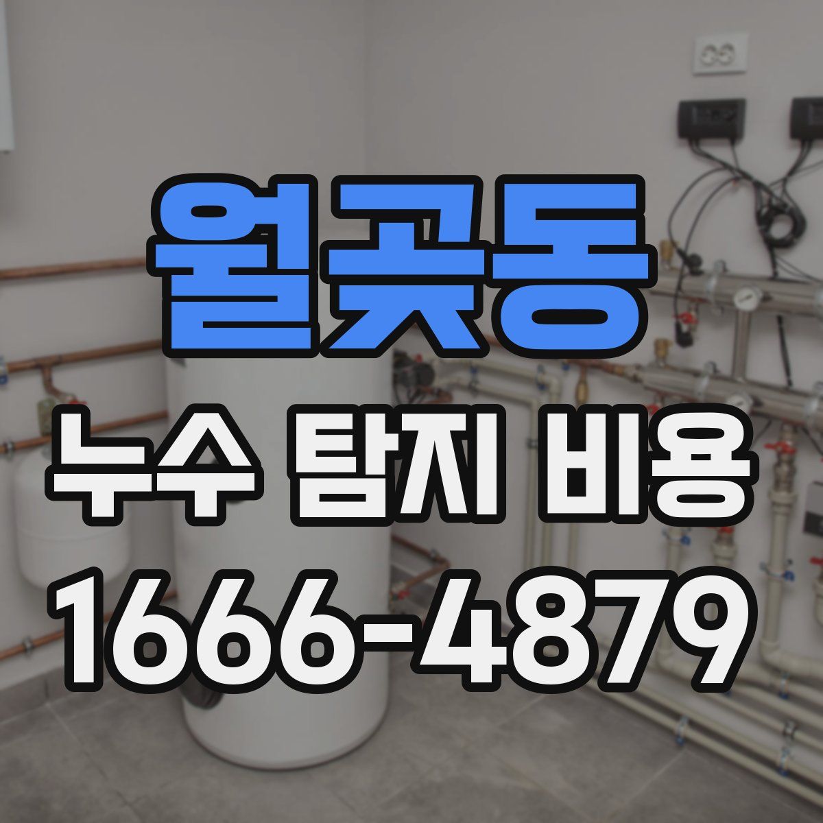 월곶동 누수 탐지 비용