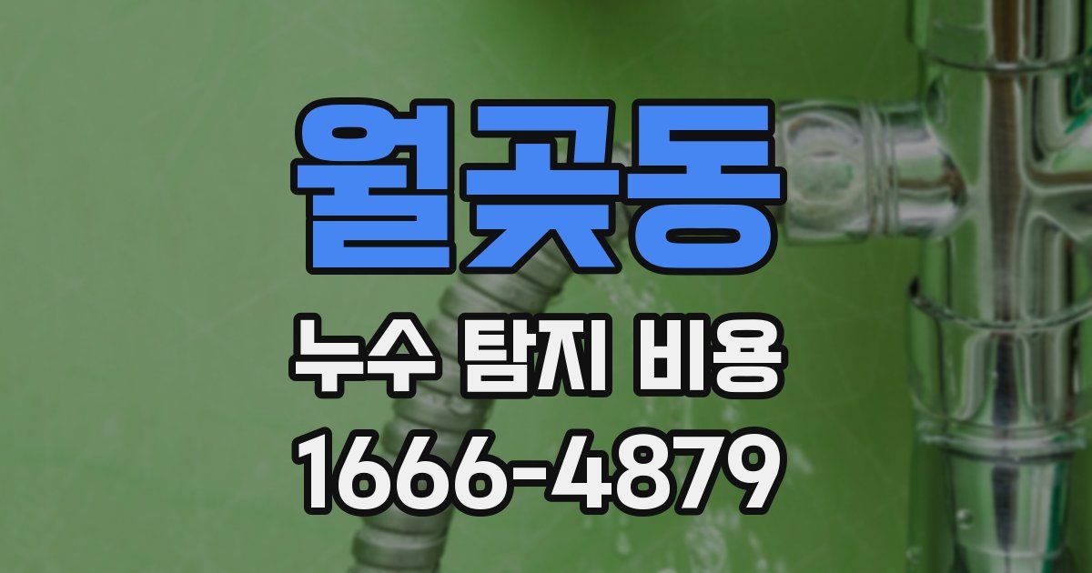 월곶동 누수 탐지 비용