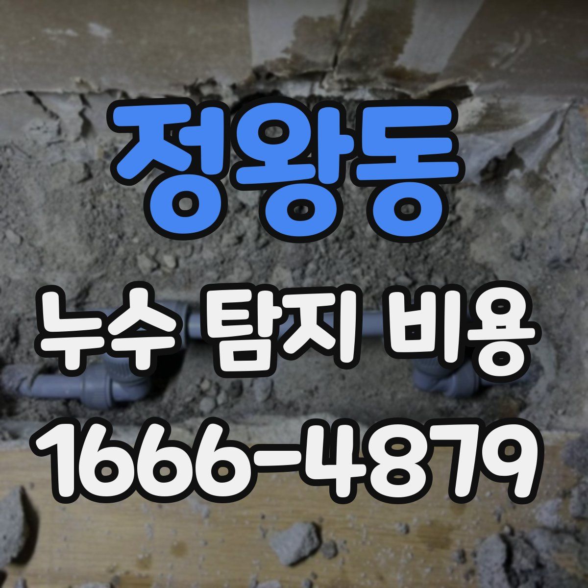 정왕동 누수 탐지 비용