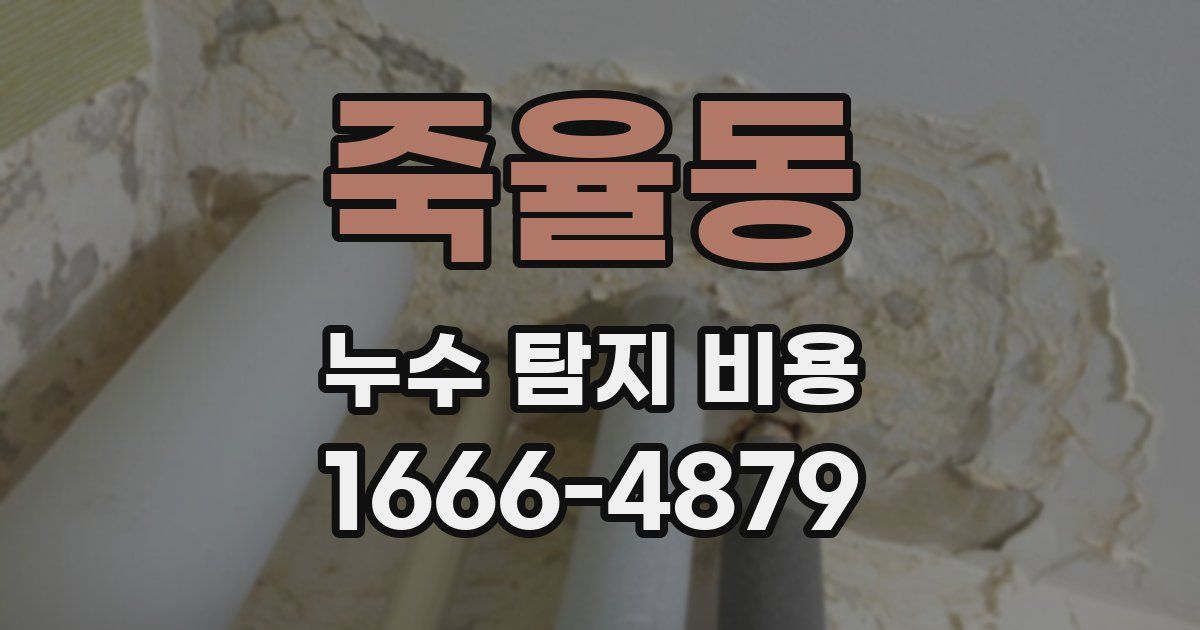 죽율동 누수 탐지 비용
