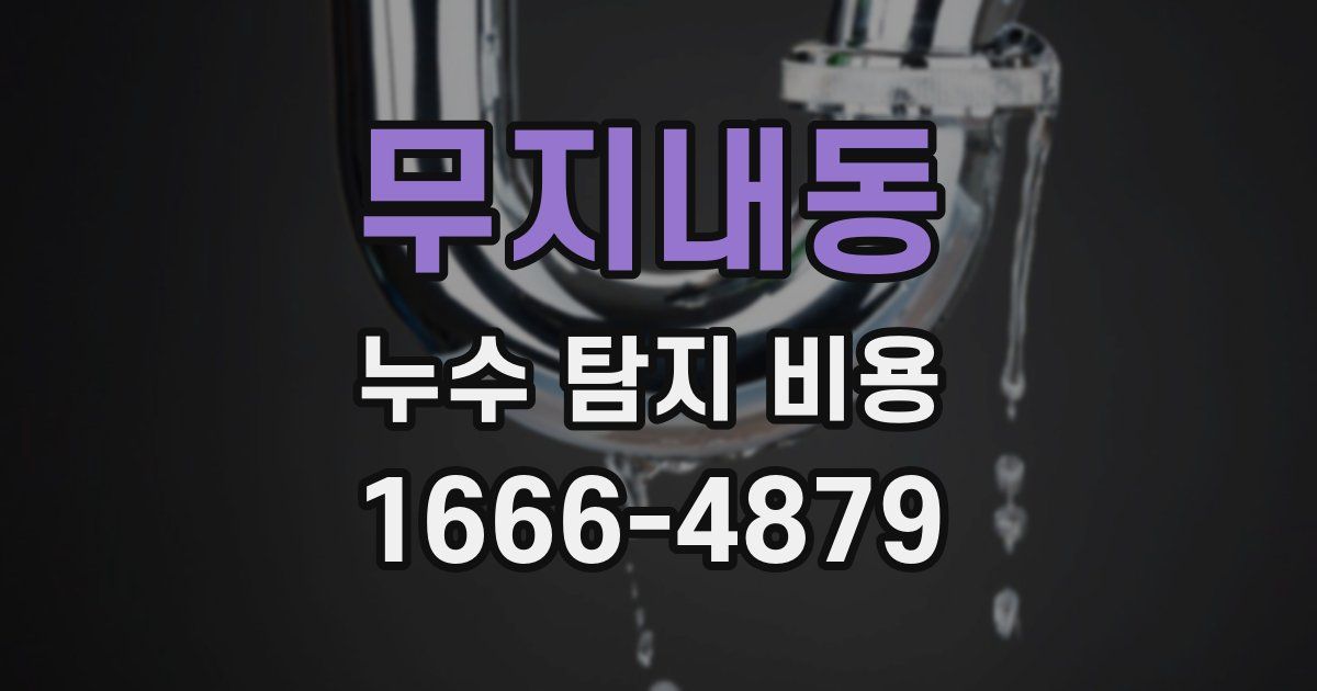 무지내동 누수 탐지 비용