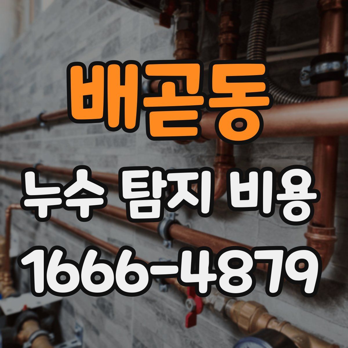 배곧동 누수 탐지 비용