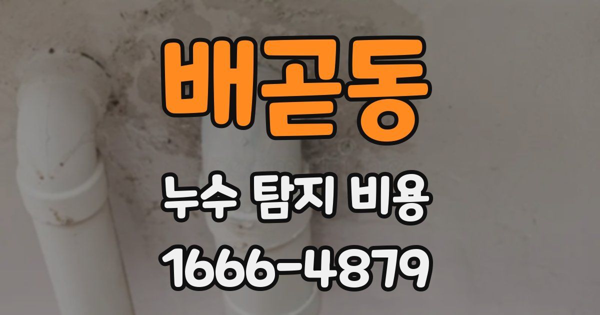 배곧동 누수 탐지 비용