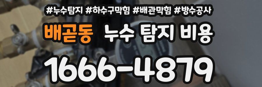 배곧동 누수 탐지 비용