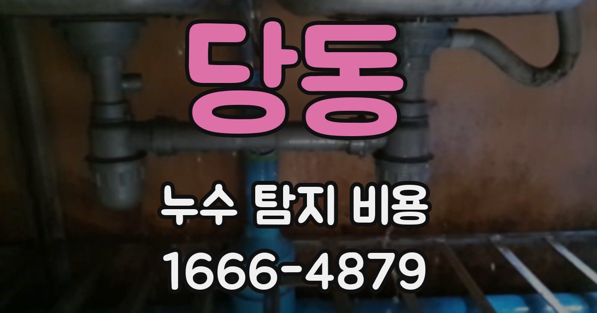 당동 누수 탐지 비용