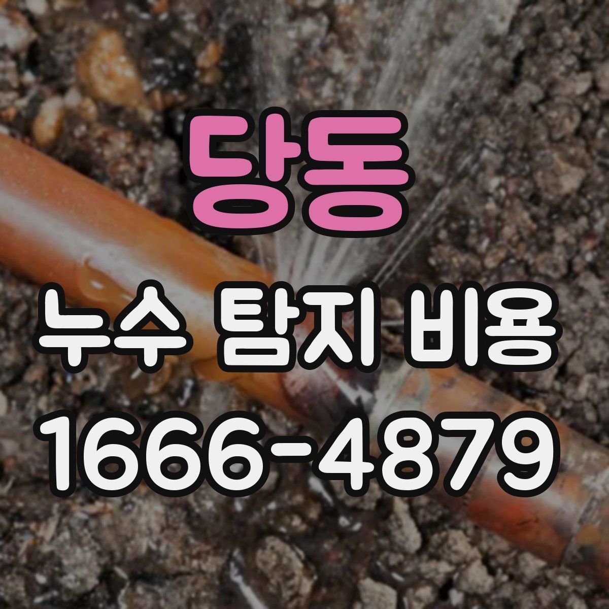 당동 누수 탐지 비용