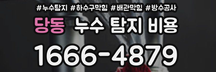 당동 누수 탐지 비용