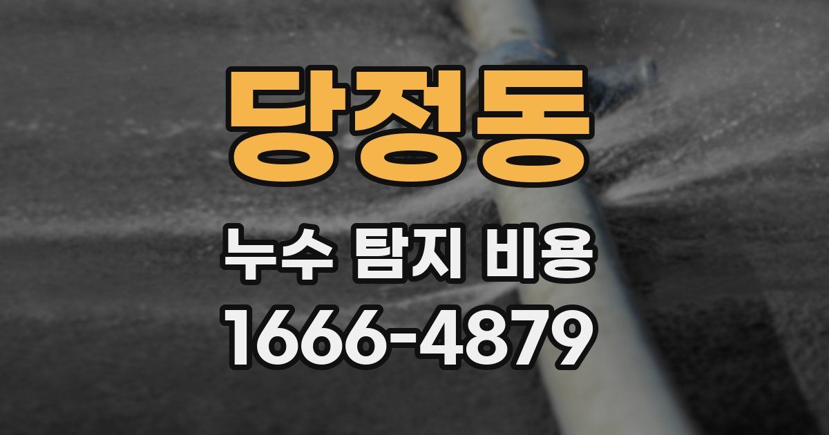 당정동 누수 탐지 비용