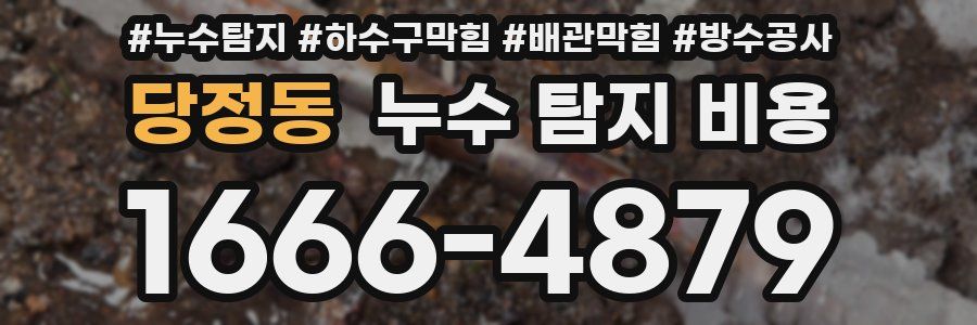 당정동 누수 탐지 비용