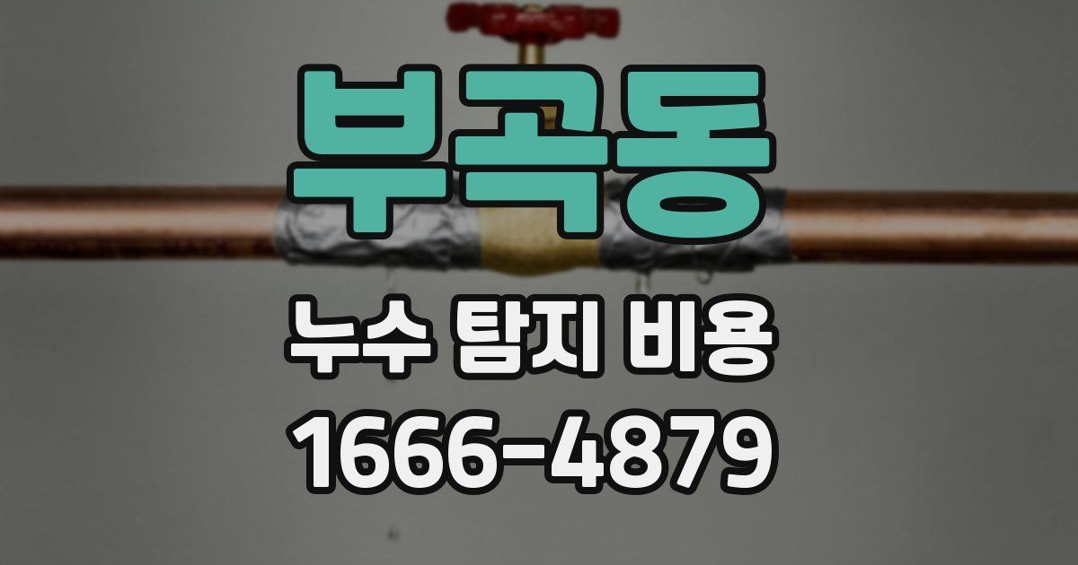 부곡동 누수 탐지 비용