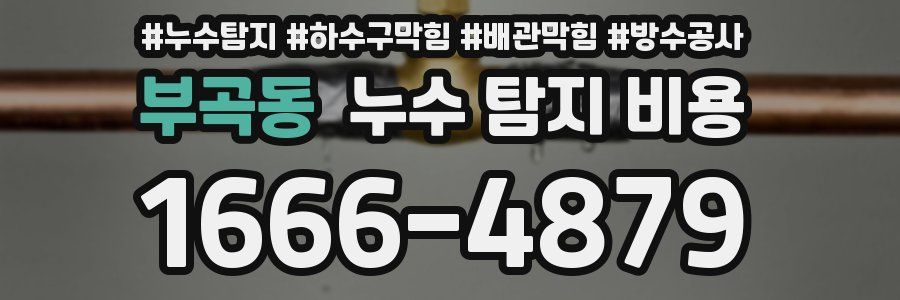 부곡동 누수 탐지 비용