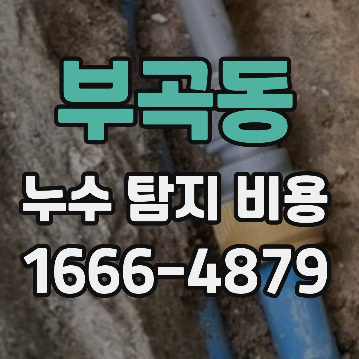 부곡동 누수 탐지 비용