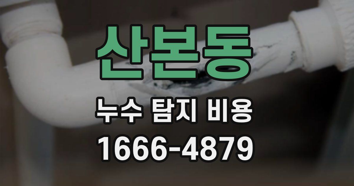 산본동 누수 탐지 비용