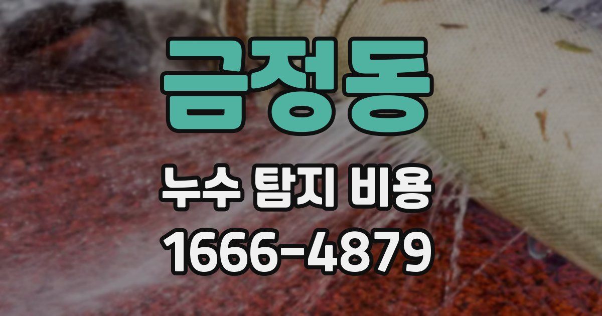 금정동 누수 탐지 비용