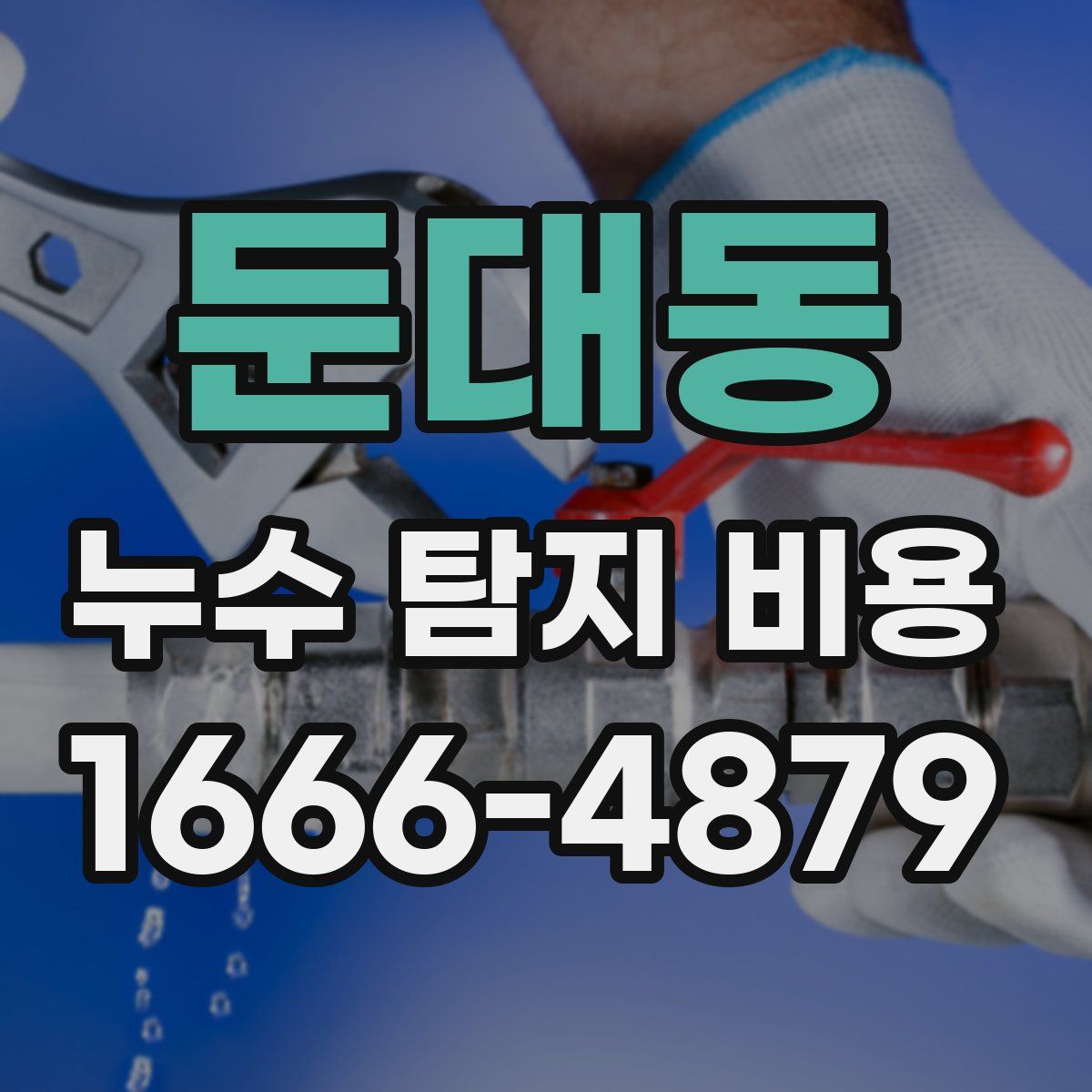 둔대동 누수 탐지 비용