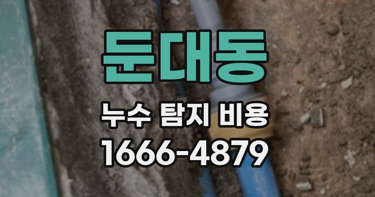 둔대동 누수 탐지 비용