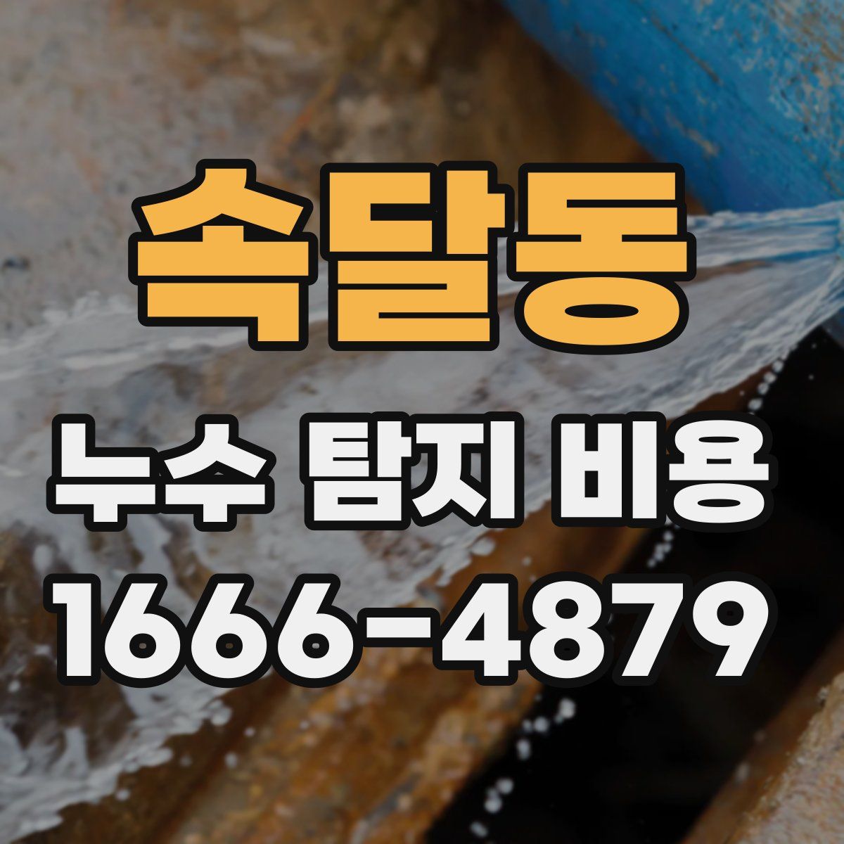 속달동 누수 탐지 비용
