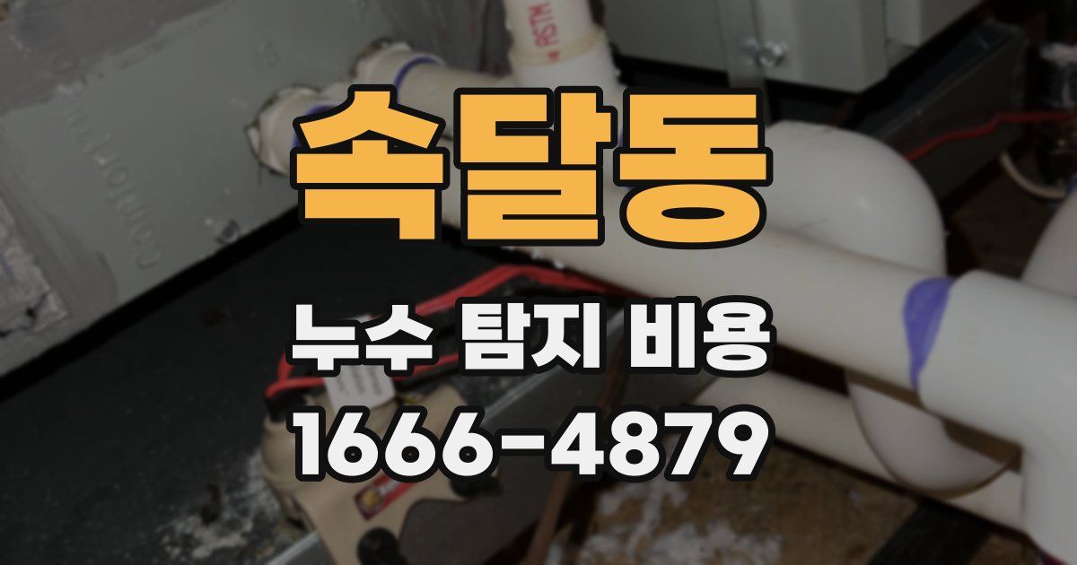 속달동 누수 탐지 비용
