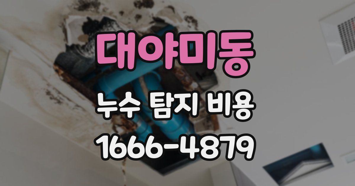 대야미동 누수 탐지 비용