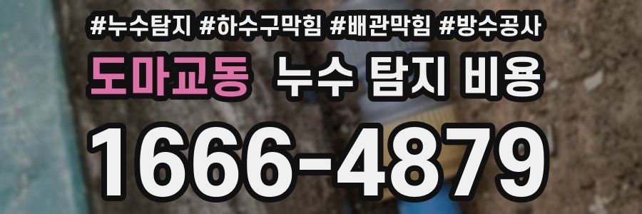 도마교동 누수 탐지 비용