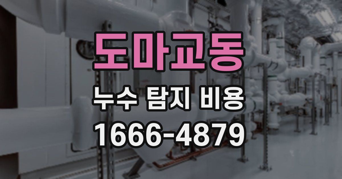 도마교동 누수 탐지 비용