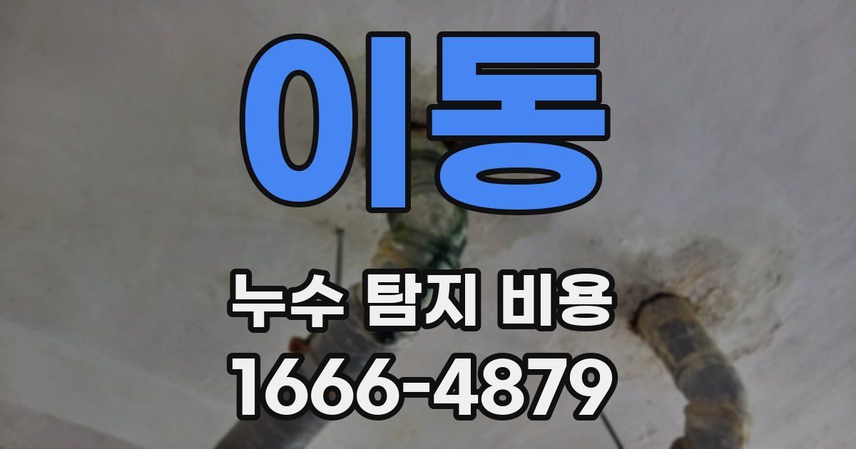 이동 누수 탐지 비용