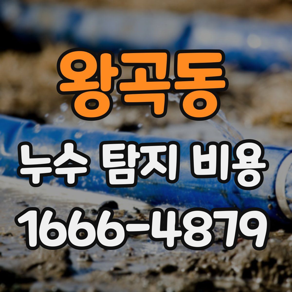 왕곡동 누수 탐지 비용