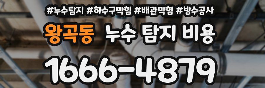 왕곡동 누수 탐지 비용