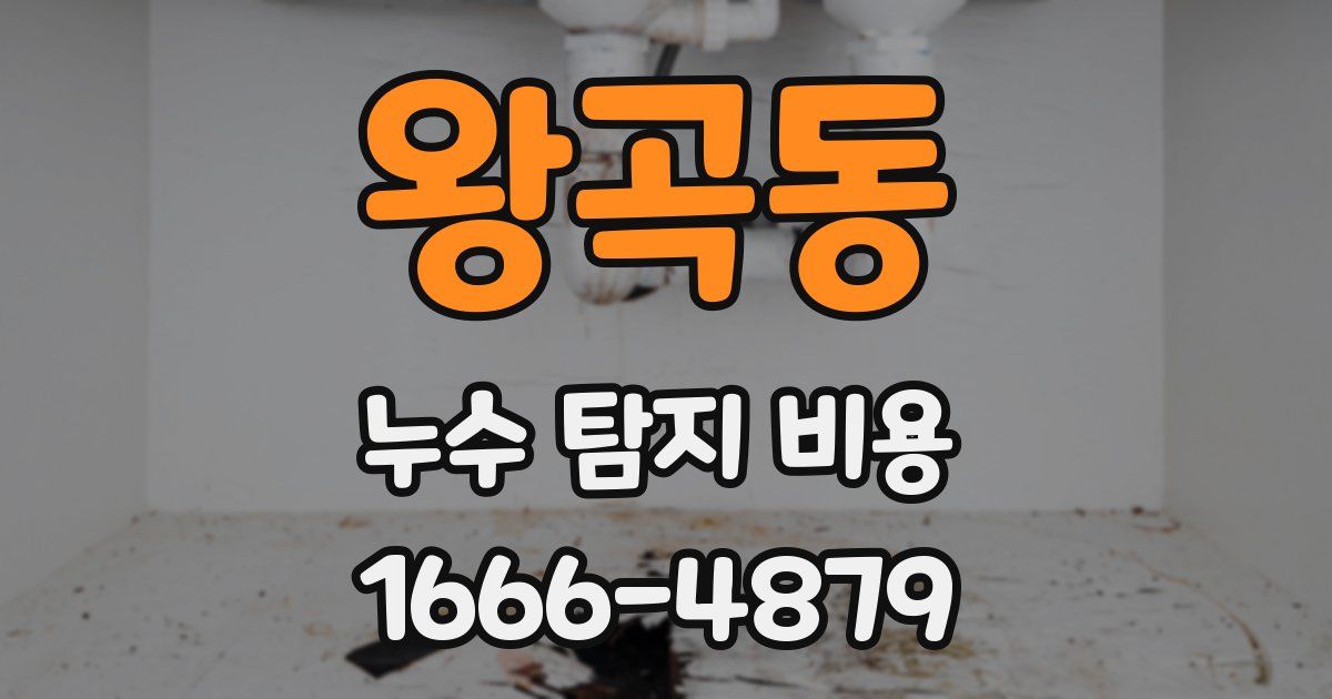 왕곡동 누수 탐지 비용