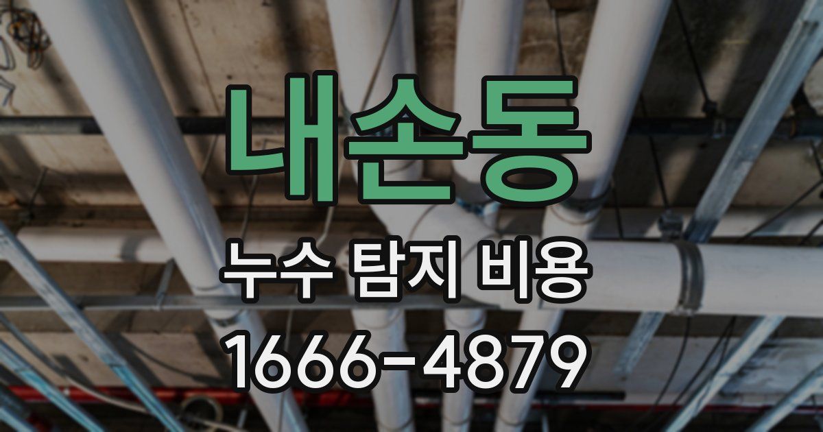 내손동 누수 탐지 비용