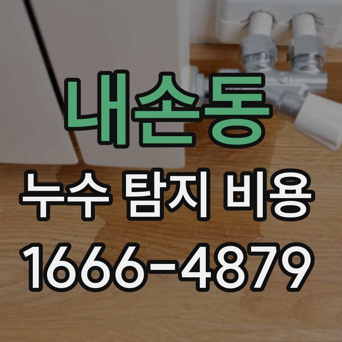 내손동 누수 탐지 비용
