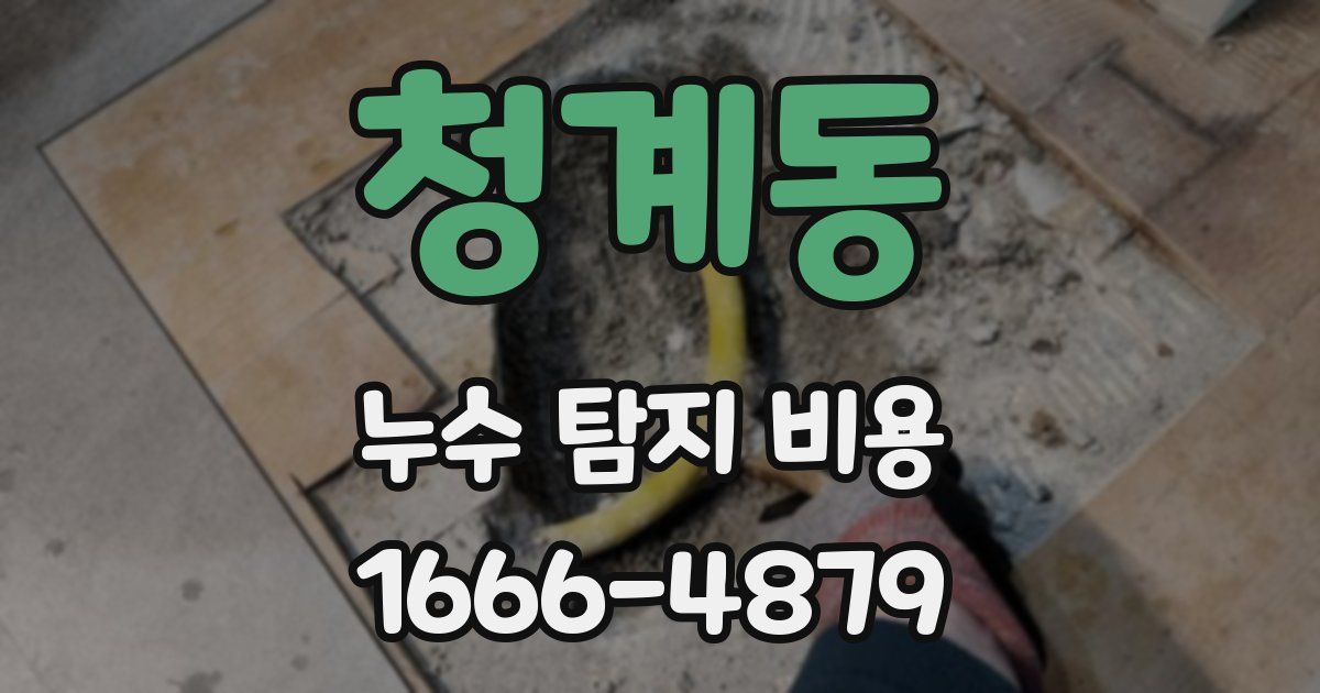 청계동 누수 탐지 비용