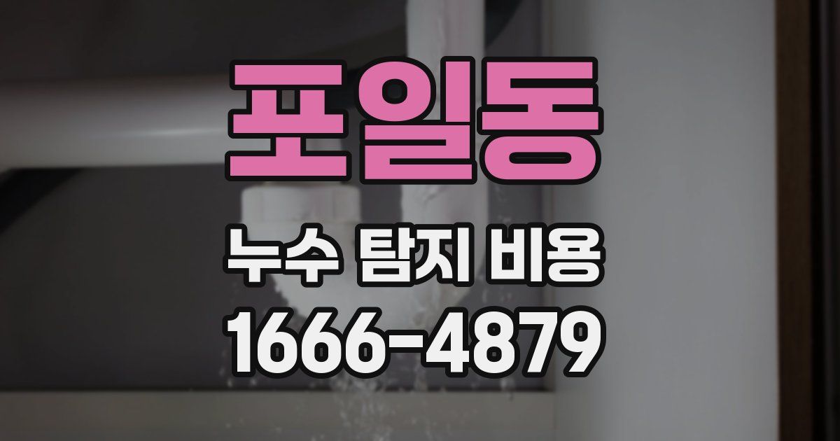 포일동 누수 탐지 비용